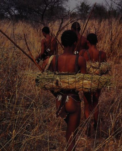 Bushmen carrying ostrich Eggs home - Girl Gone Authentic