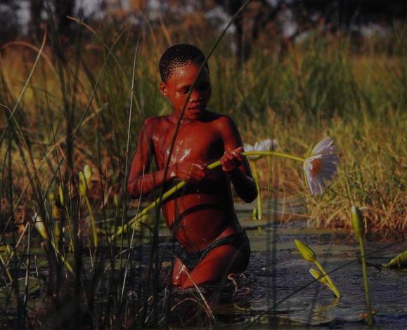 A way of life: Bushmen of the Kalahari - Girl gone Authentic