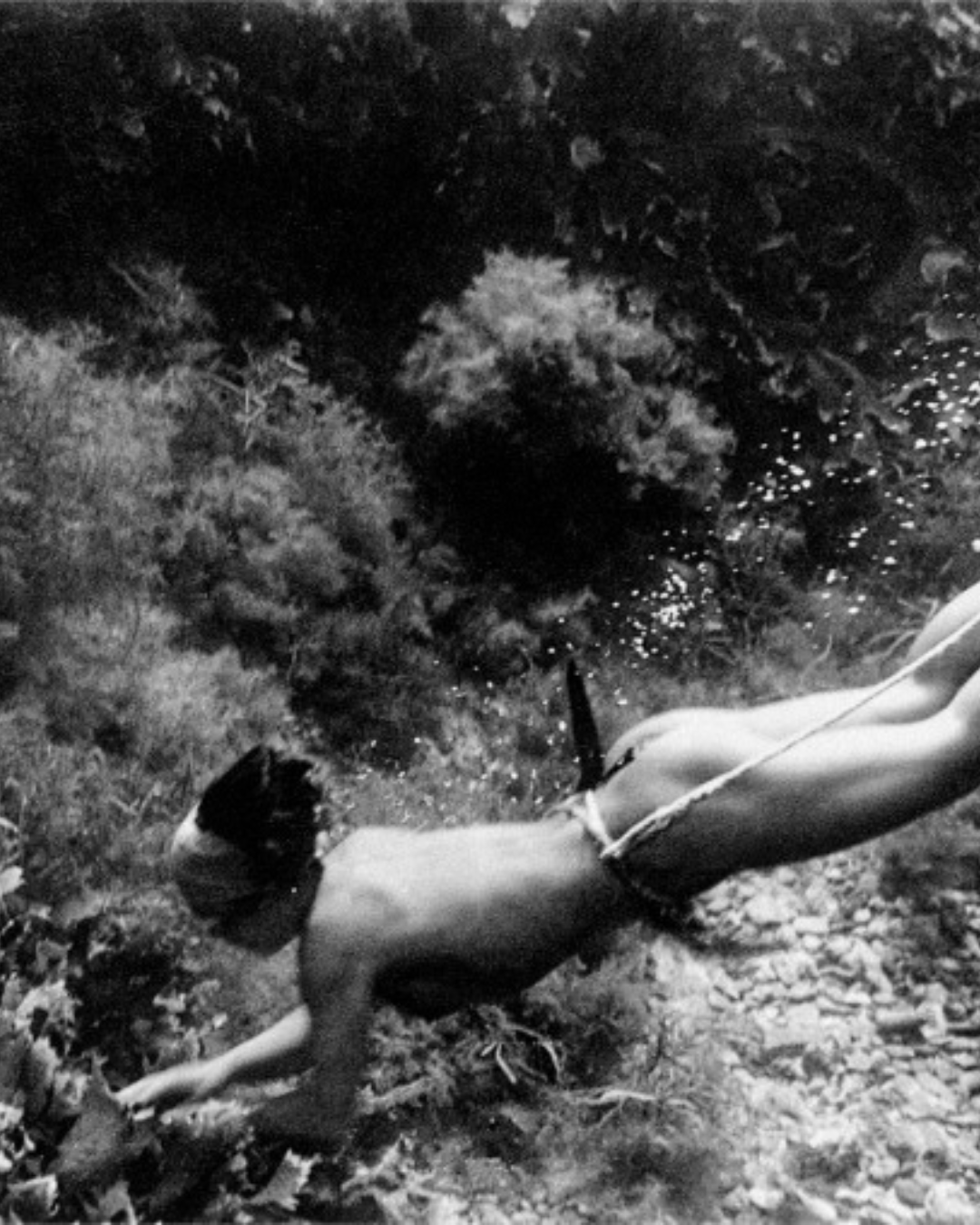 The Amasan woman divers of Japan